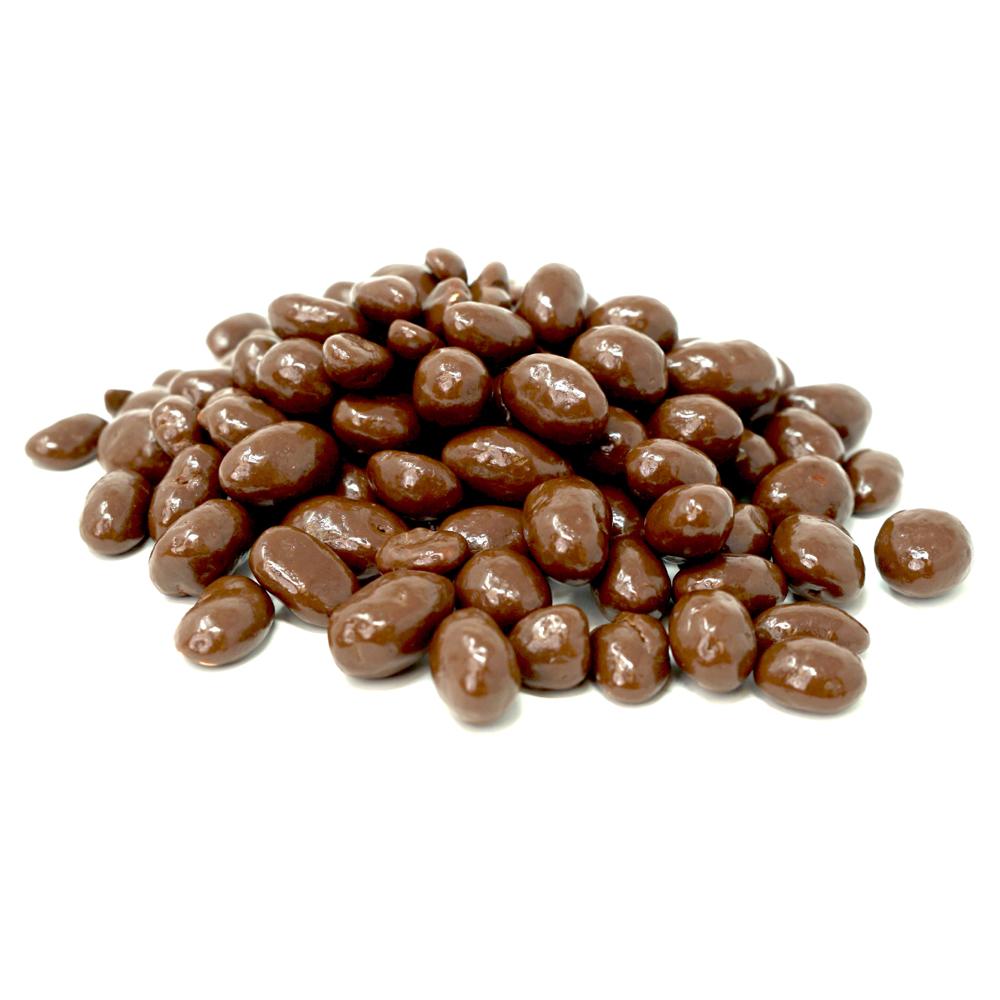 Chocolate Covered Peanuts